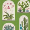 Terrariums 216656
